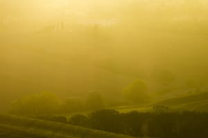 Hier finden Sie einen passenden Anwalt für Verkehrsrecht in Leinfelden-Echterdingen.