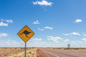 Hat ein Känguru einen Unfall verursacht, ist die Polizei zu verständigen.