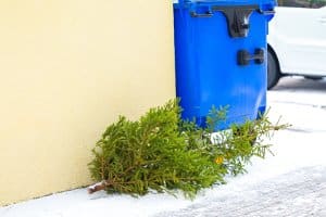 Die Kosten für einen Container für Gartenabfälle richten sich nach der Menge