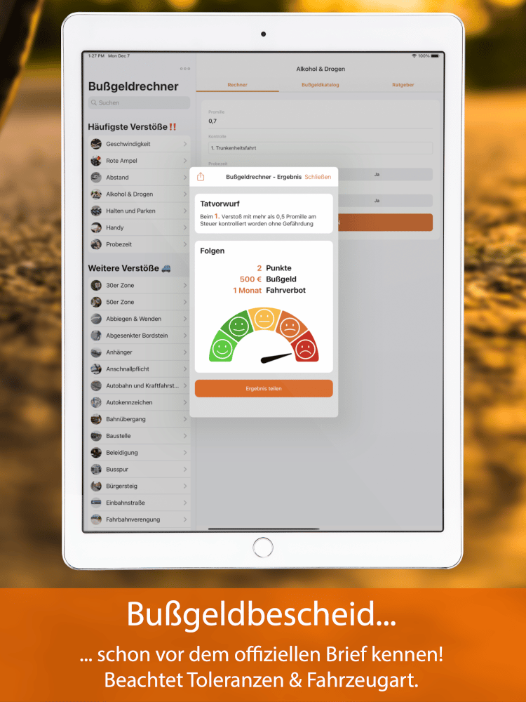 Bußgeldrechner-App fürs iPad Screen 3