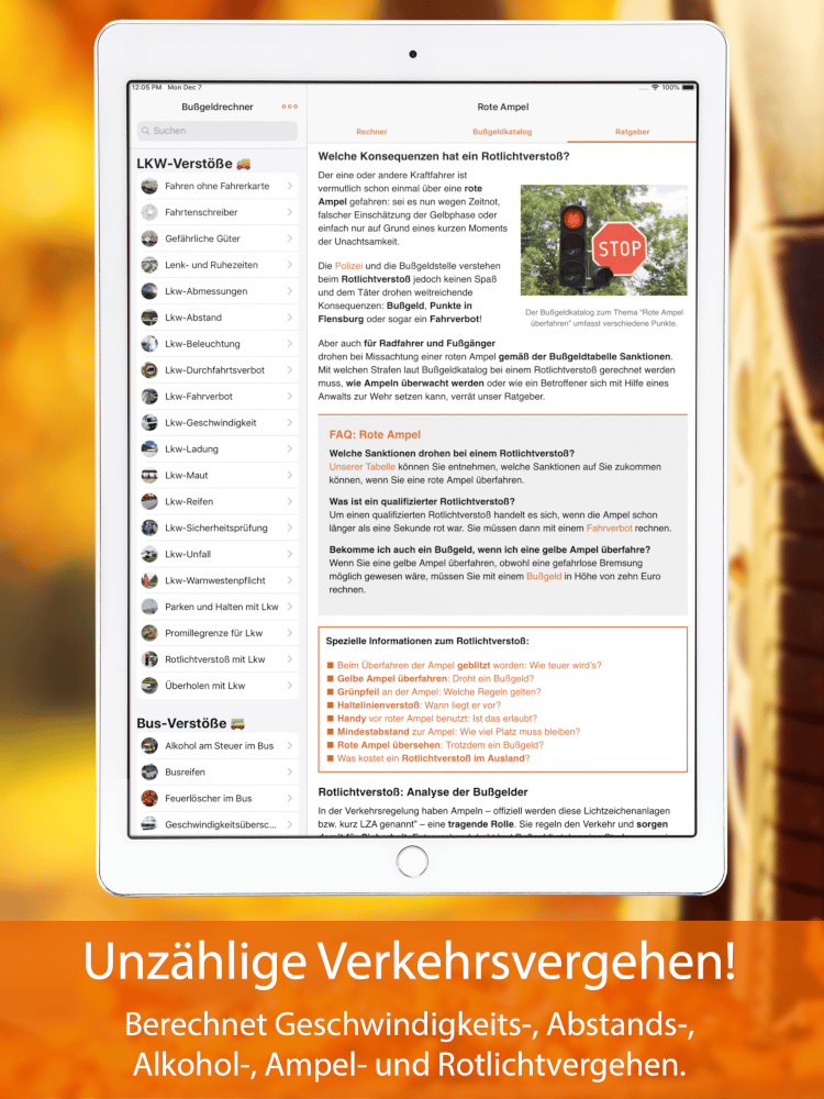 Bußgeldrechner-App fürs iPad Screen 4