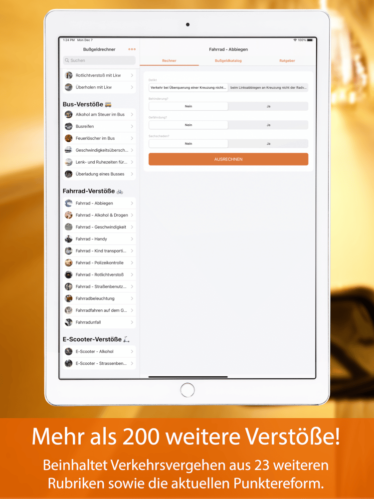 Bußgeldrechner-App fürs iPad Screen 5