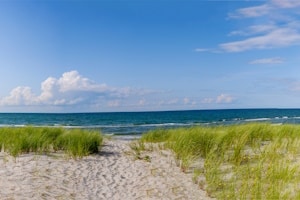 Im Norden Deutschlands beheimatet: Das Wunschkennzeichen sorgt in Nordfriesland für mehr Individualität beim Kfz.